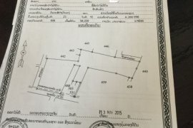 Land for sale in Xaythany, Vientiane