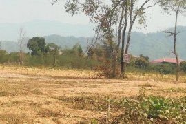 Land for sale in Vientiane
