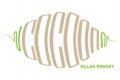 Cocoon Group